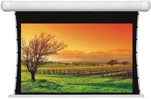 شاشة عرض كهربائية قابلة للتمدد 132 × 234 سم TT132X234